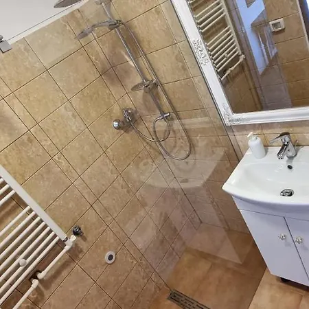 Veronica Apartment Piatra Neamt